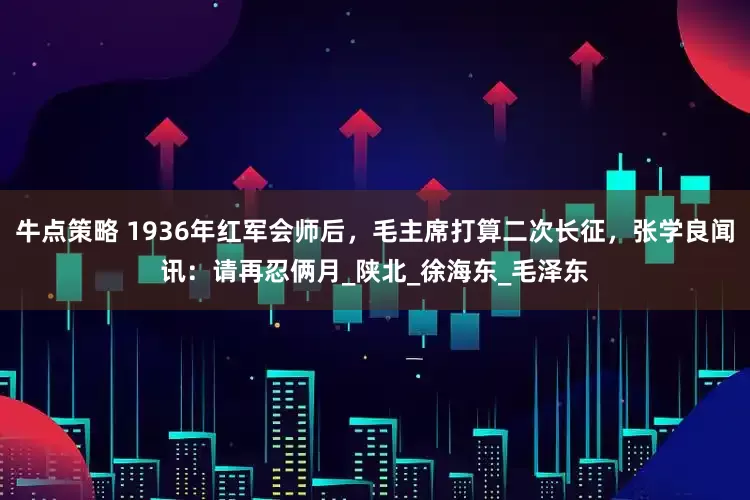 牛点策略 1936年红军会师后，毛主席打算二次长征，张学良闻讯：请再忍俩月_陕北_徐海东_毛泽东