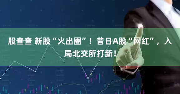 股查查 新股“火出圈”！昔日A股“网红”，入局北交所打新！